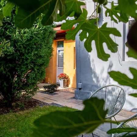 Dulcineea Downtown Garden Studio Timisoara Exterior foto