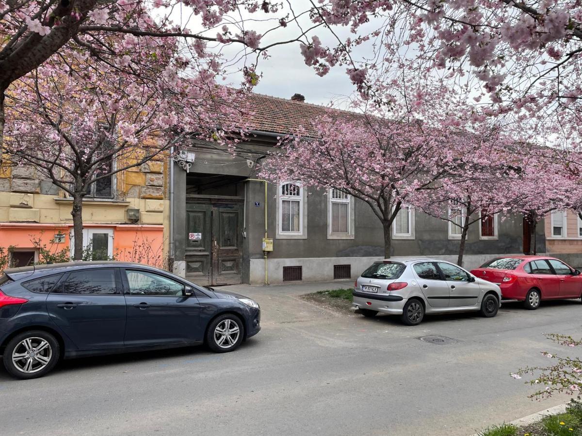 Dulcineea Downtown Garden Studio Timisoara Exterior foto