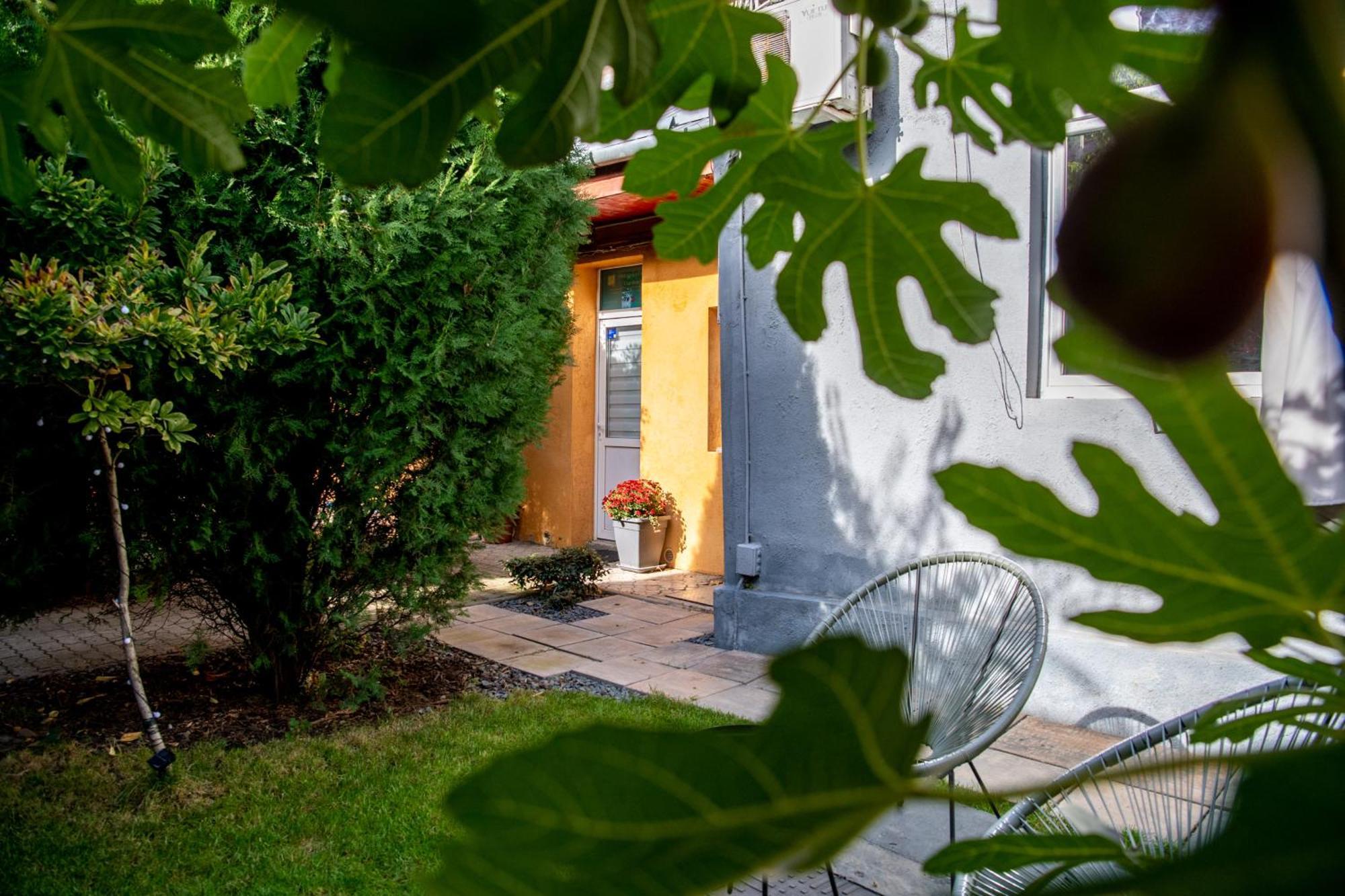 Dulcineea Downtown Garden Studio Timisoara Exterior foto