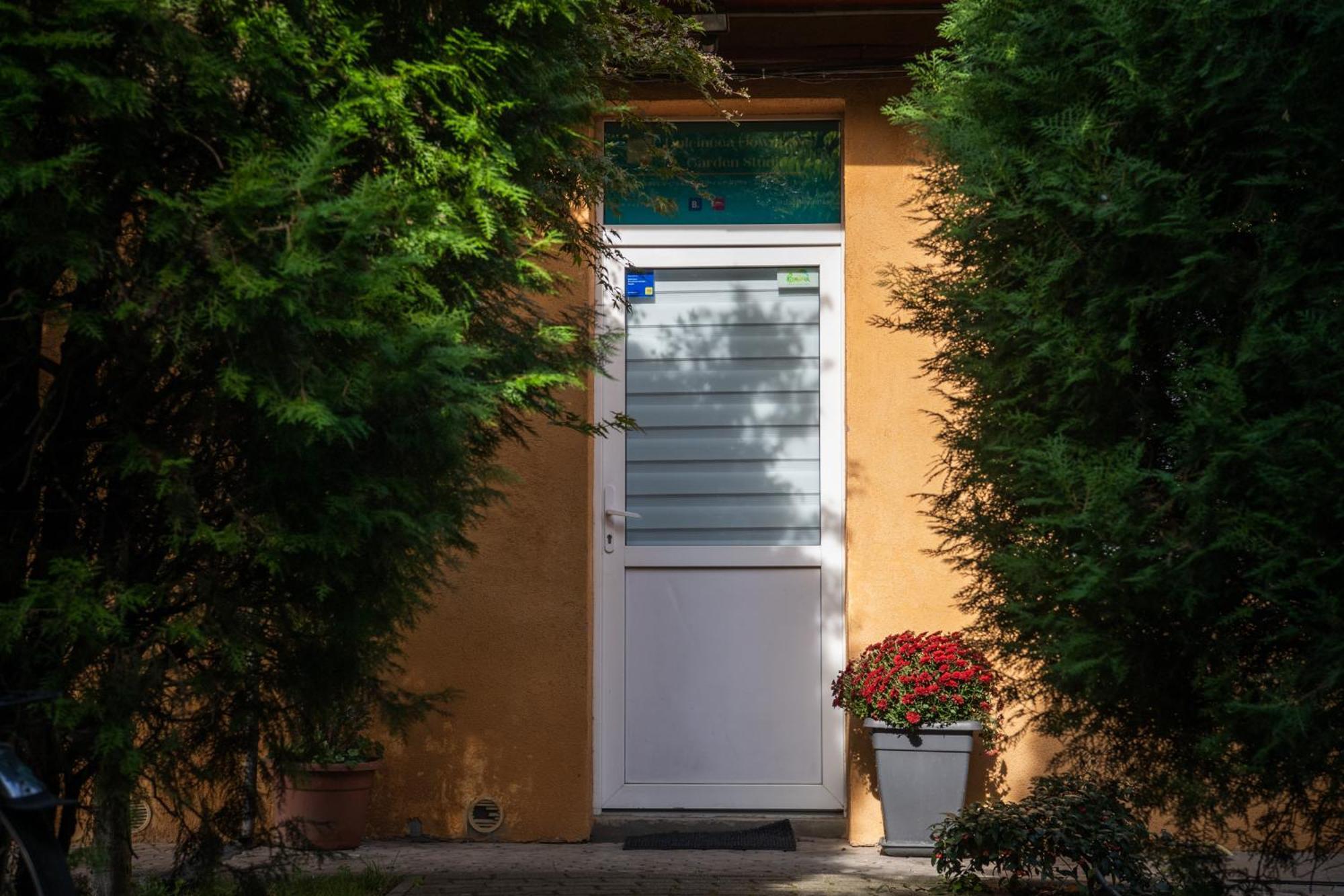 Dulcineea Downtown Garden Studio Timisoara Exterior foto